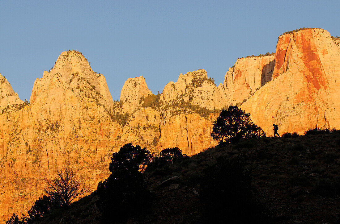 Towers of the Virgin, Zion Nationalpark, Utah, USA