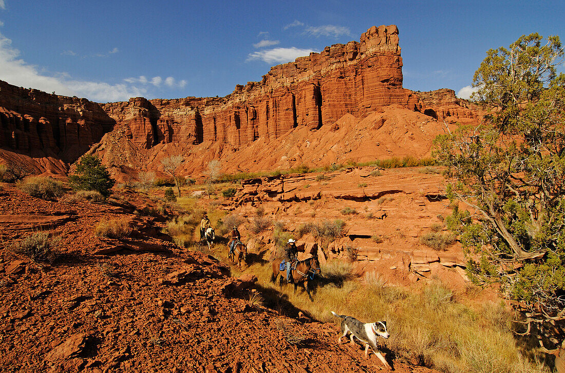 Horse riding, Torrey, Capitol Reef National Park, Utah, USA