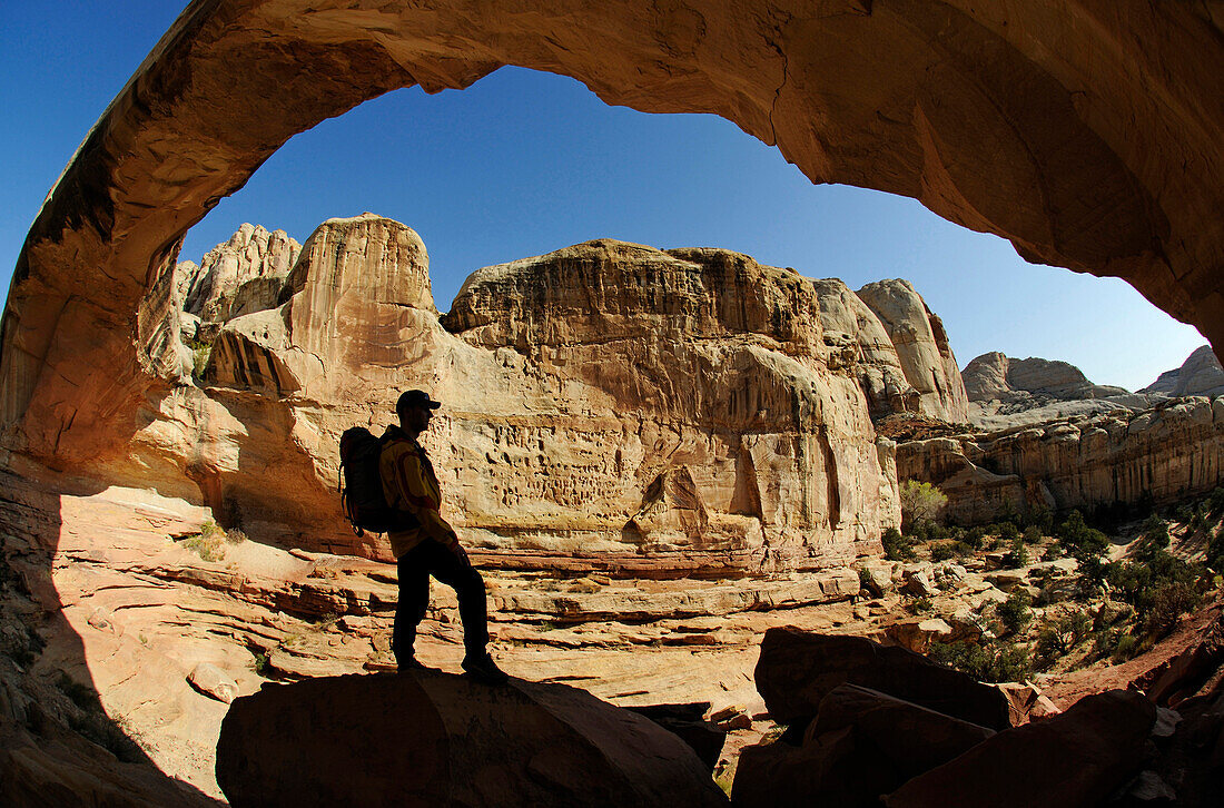 Wanderer, Hickman Bridge, Capitol Reef National Park, Utah, USA, MR