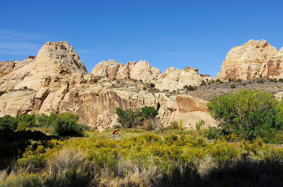 Rennradfahrer, Capitol Reef National Park, Utah, USA, MR