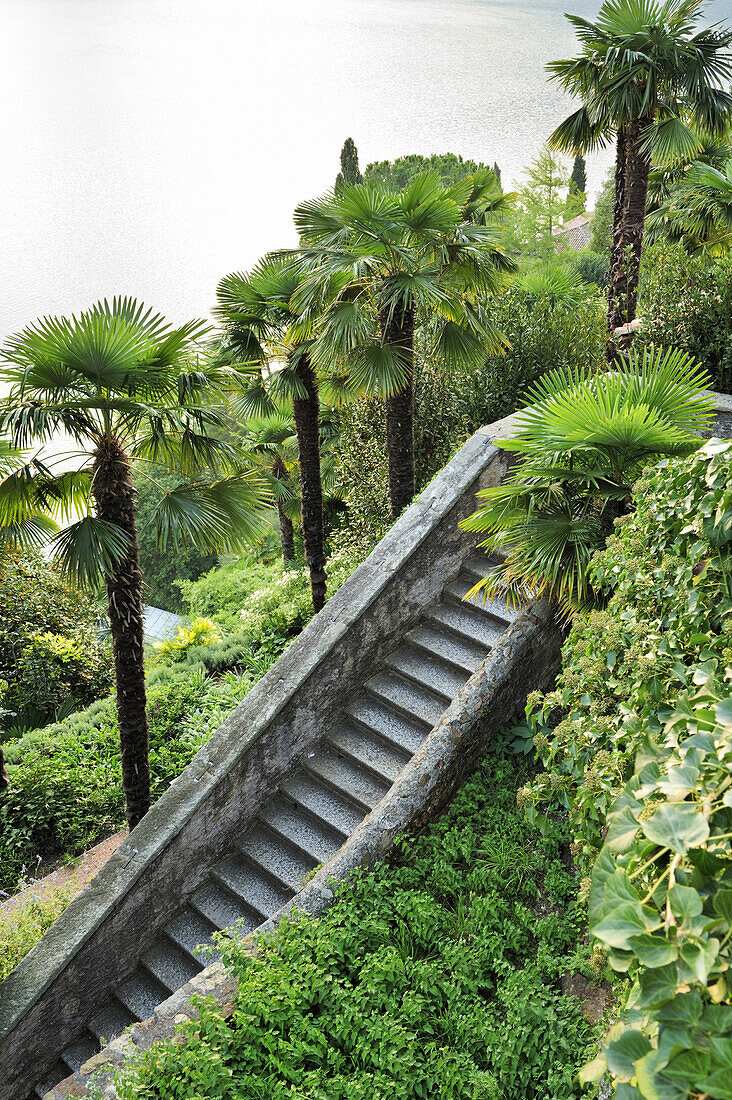 Stone stairs in palm garden, Lake of Lugano, Ticino, Switzerland