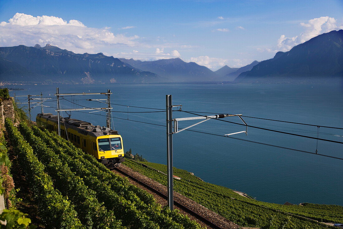 Train de Vignes, Genfer See, Kanton Waadt, Schweiz