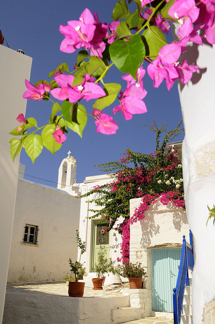 Kirche und Häuser im Kastro Viertel, Parikia, Insel Paros, Kykladen, Griechenland, Europa