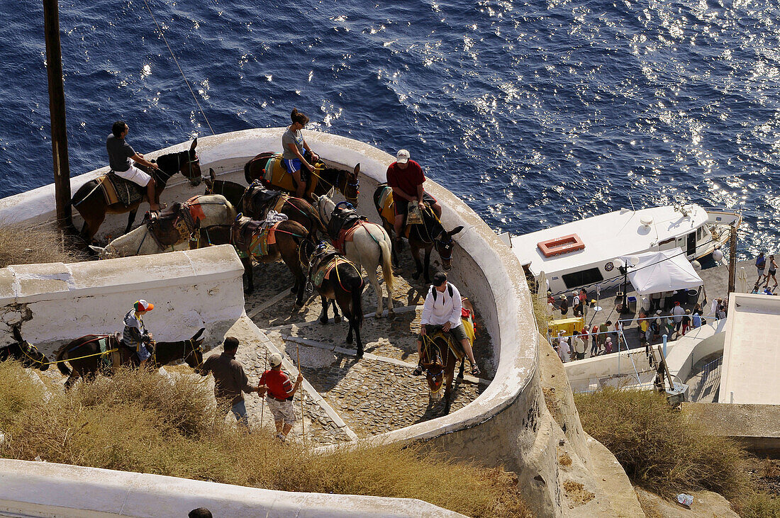Tourists riding donkeys, Fira, island of Santorin, the Cyclades, Greece, Europe