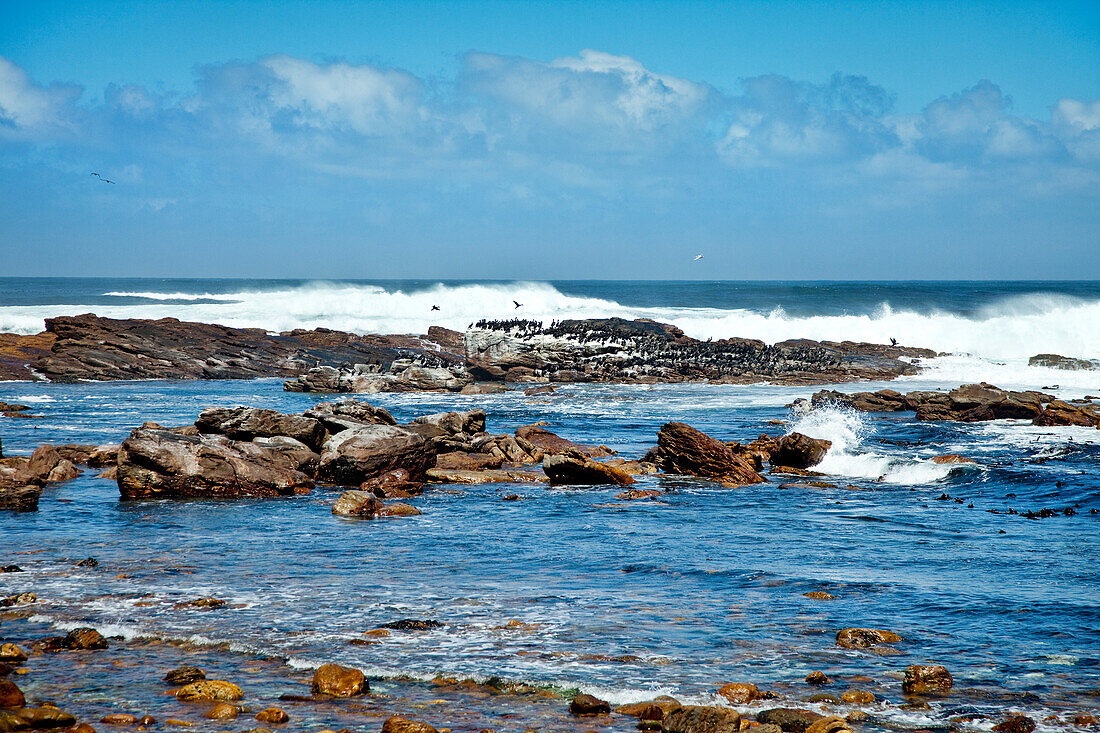 Sea at Cape of Good Hope, Cape Town, Cape Peninsula, Western Cape, South Afrika