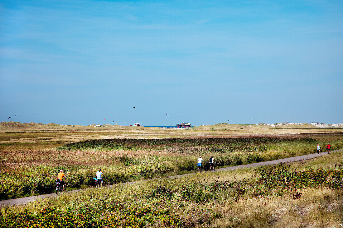 Cycle way through dunes, St. Peter-Ording, Schleswig-Holstein, Germany