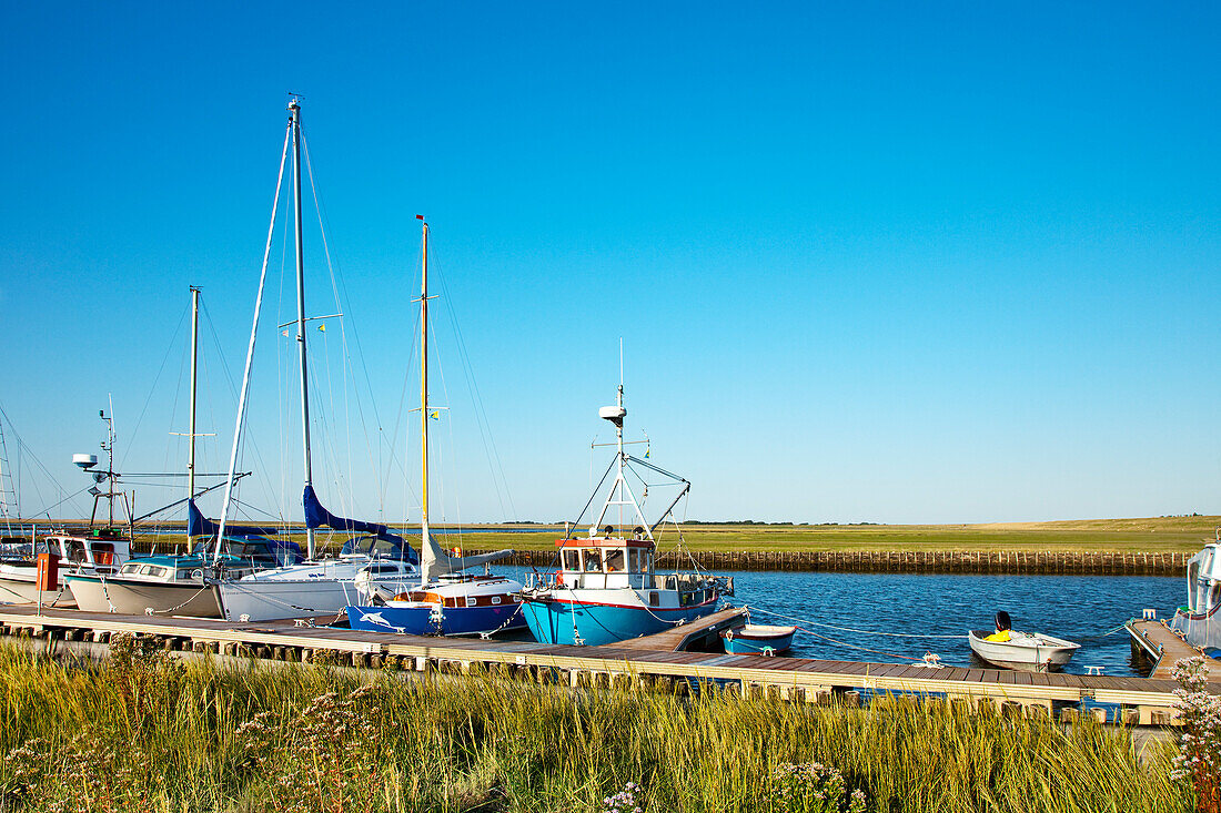 Boote im Hafen, Tümlauer-Koog, Schleswig-Holstein, Deutschland