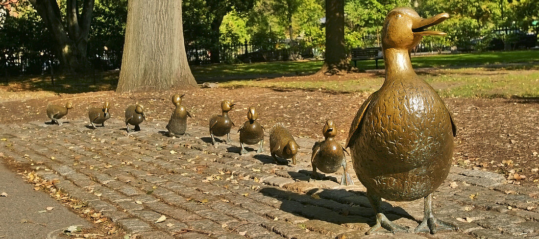 Make Way for Ducklings is a children´s picture book written and illustrated by Robert McCloskey The book´s popularity led to the construction of a statue in the Public Garden of the mother duck and her eight ducklings
