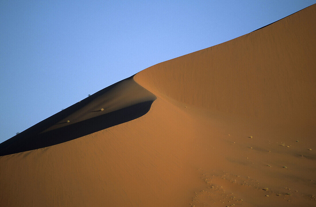 Namibia _ Desert impressions