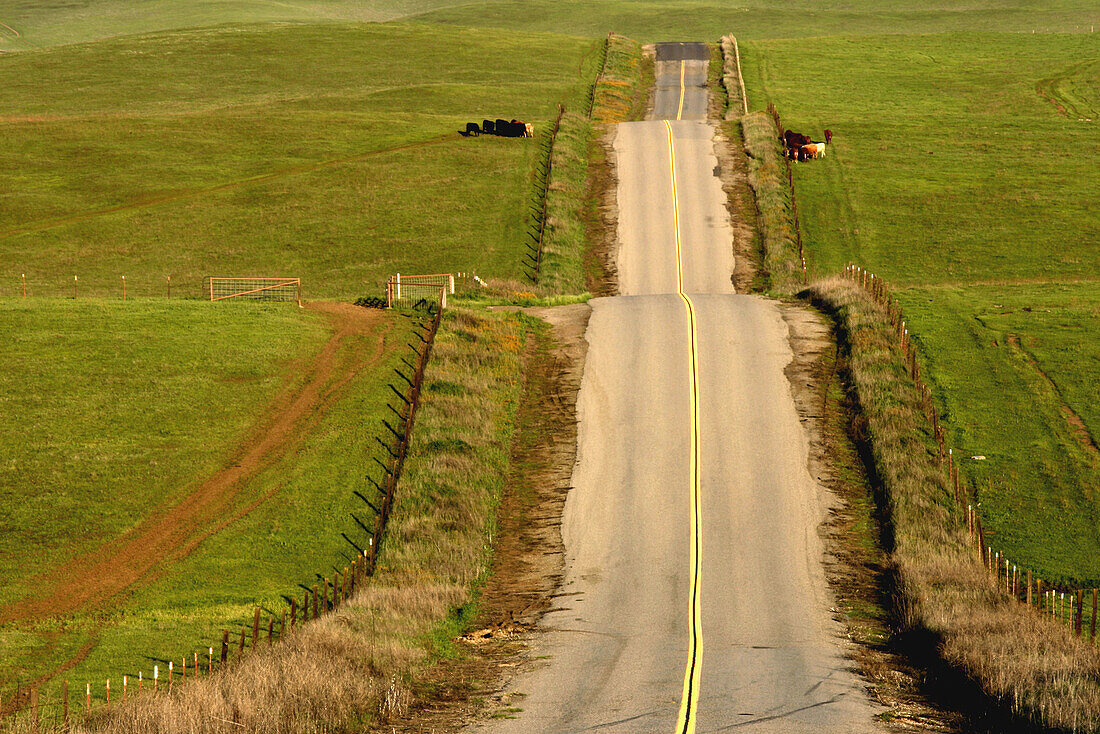 A roller coaster of a road in the Central Valley of California