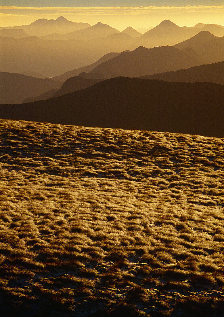 Sunrise over Marlborough Sounds and Richmond Range from near Mt Fell New Zealand