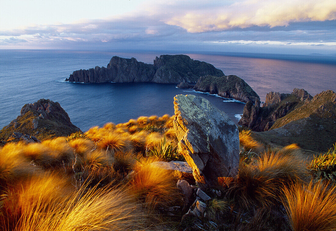 Sunset Ruggedy Point Rakiura National Park Stewart Island New Zealand