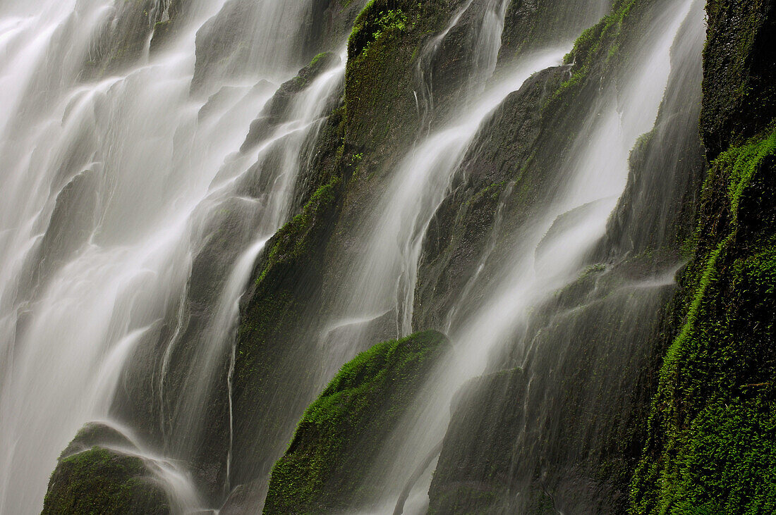 Ramona Falls cascades over rocks on Mt Hood National Forest Mt Hood National Forest,  Clackamas County,  Oregon,  USA,  America
