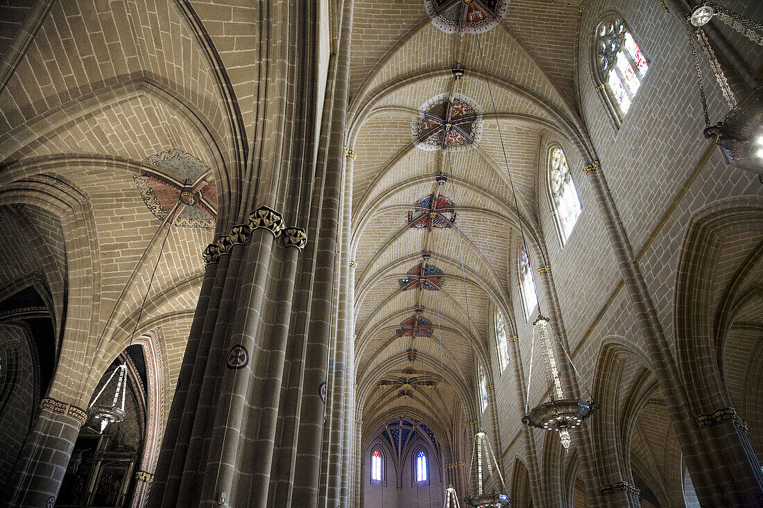 Vaults of cathedral,  Pamplona. Navarra,  Spain
