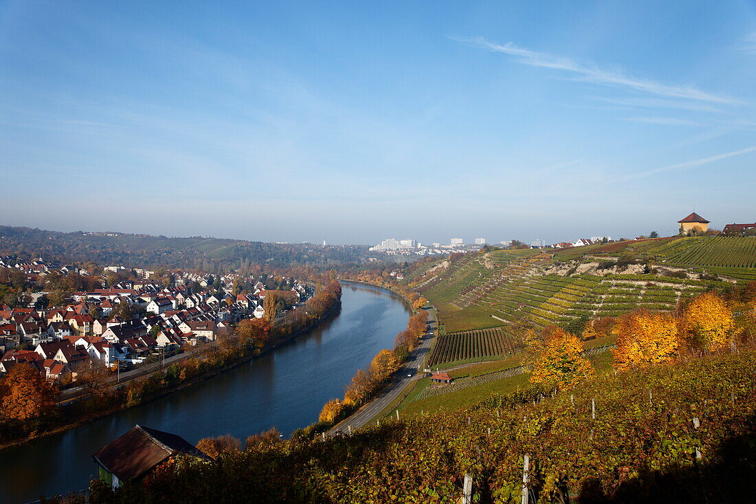 Vineyards along river Neckar, Munster-Stuttgart, Baden-Wurttemberg, Germany