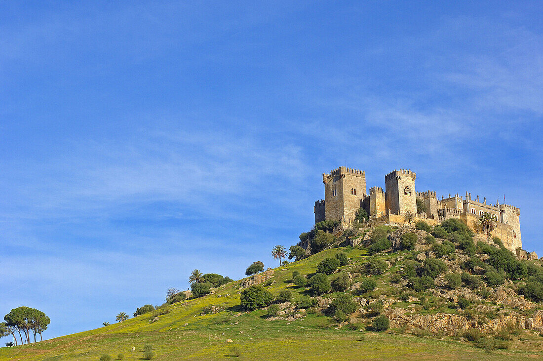 Castle of Almodóvar del Río Córdoba province,  Andalusia Spain