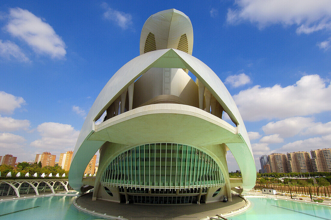 Palace of Arts Reina Sofia,  by S Calatrava City of Arts and Sciences Comunidad Valenciana,  Valencia Spain