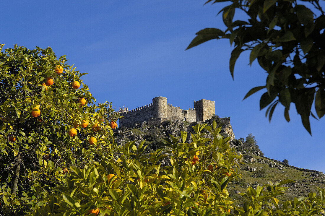 Burguillos del cerro Castle Badajoz province Extremadura Spain