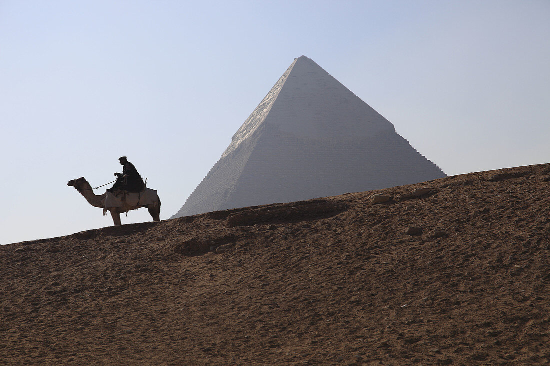An Egyptian policeman sits astride a camel at the Pyramids of Giza,  Giza,  Cairo,  Egypt,  Africa,  with the Pyramid of Cephren / Khafre in the background