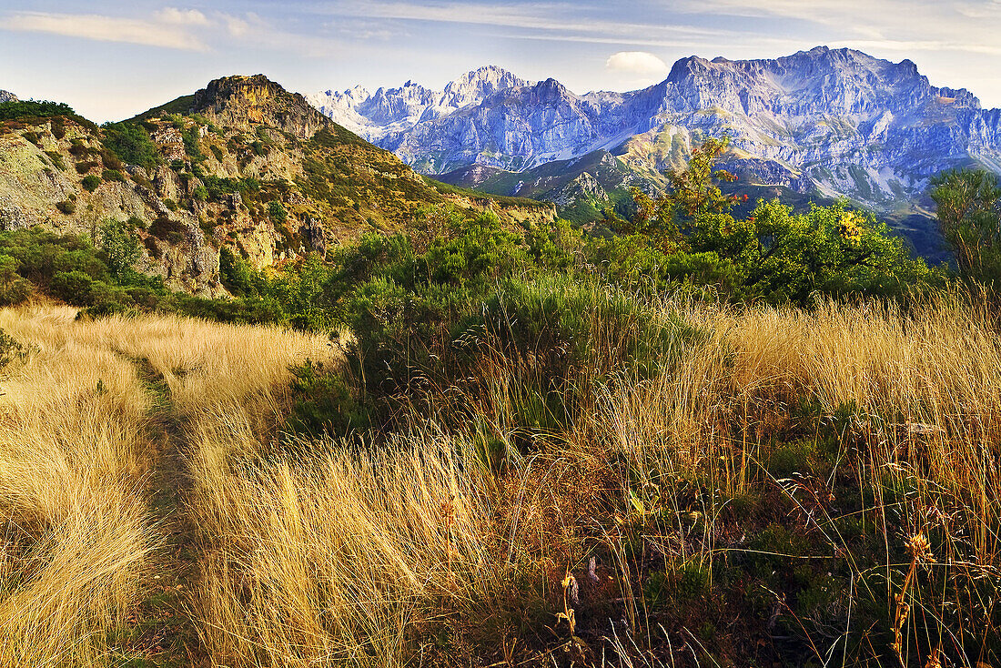 Cordillera Cantábrica. Picos de Europa. Asturias. España.