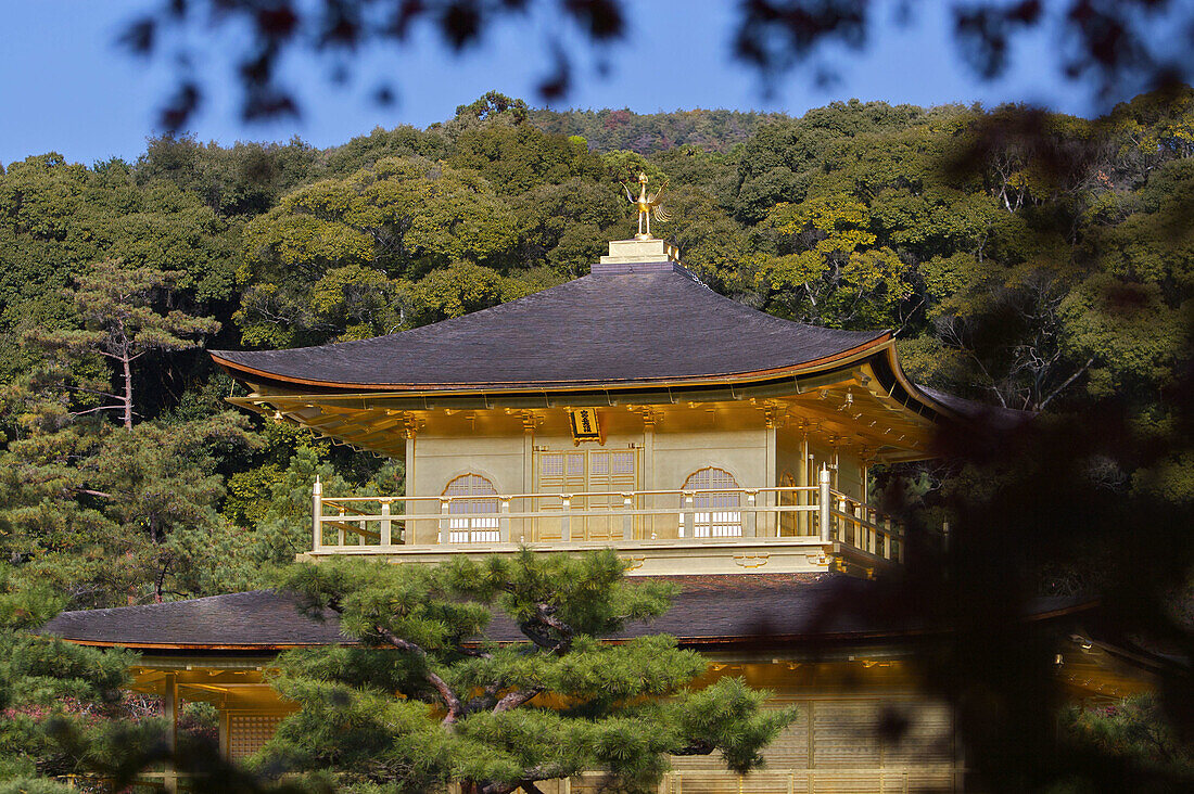 Kinkakuji,  the Golden Temple,  framed in leaves and situated in the north west part of Kyoto