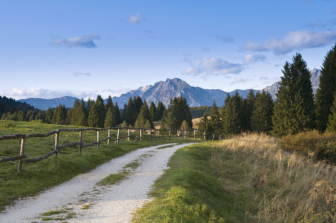 Italy,   (Treviso),  plateau of Cansiglio,  trail with the mountain background