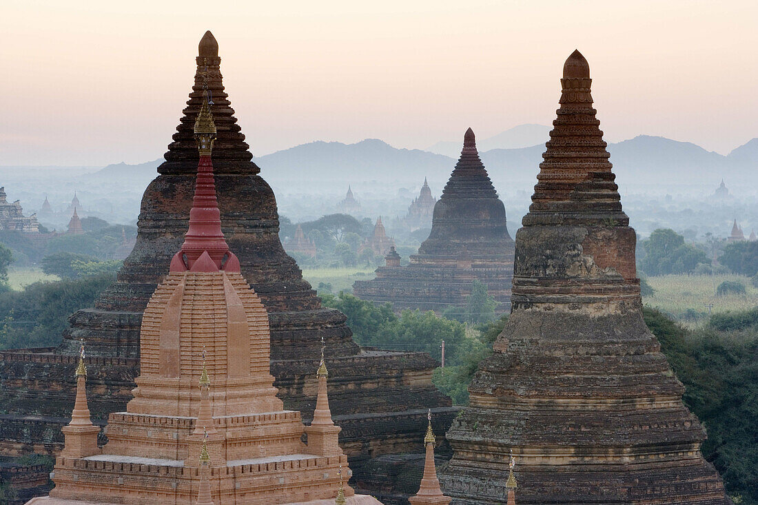 Temples of Bagan surrounded by trees