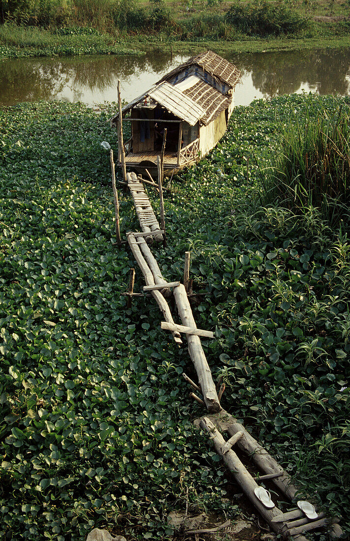 Asia, Asian, Boat, Canal, Delta, House, Jungle, Living, Mekong River, River, Vietnam, Vietnamese, Wood, T91-811131, agefotostock 