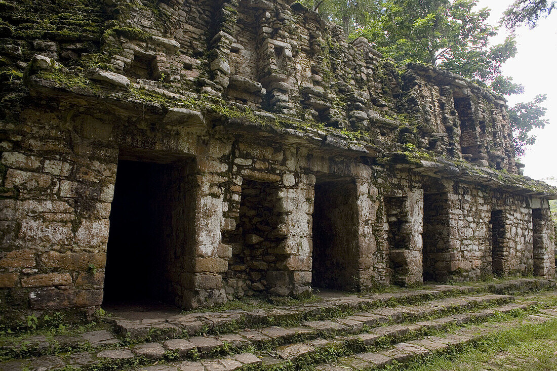 Yaxchilán archaeological maya site. Usumacinta river. Lacandon Forest. Chiapas. Mexico.