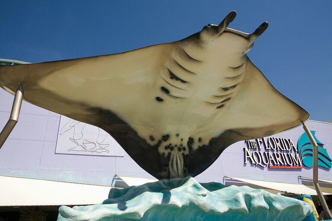 Manta Ray Sculpture at Entrance of The Florida Aquarium,  Tampa