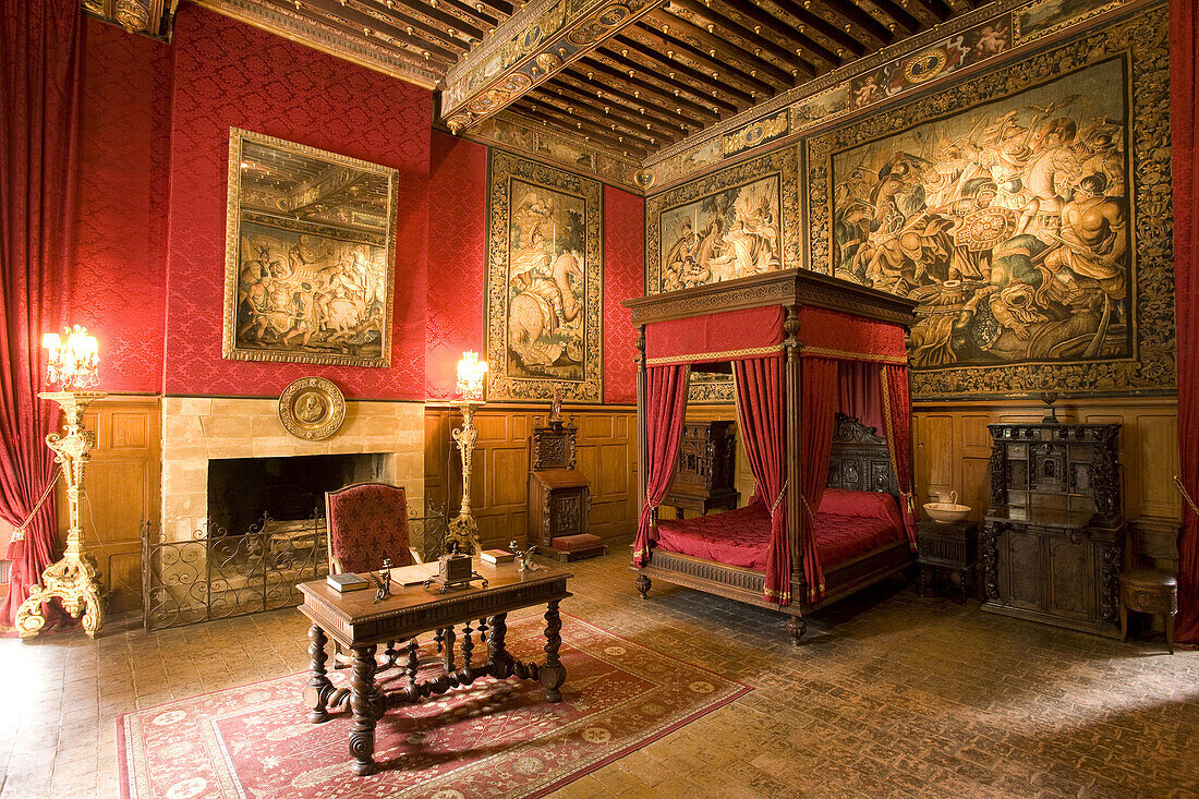 France. Loire Valley. Castle Room.