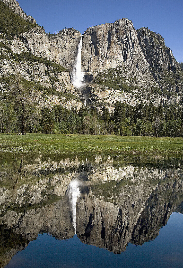 YOSEMITE FALLS IS REFLECTED IN AN OVERFLOW POND OF THE MERCED RIVER DURING THE SPRING SNOWMELT IN YOSEMITE NATIONAL PARK,  CALIFORNIA