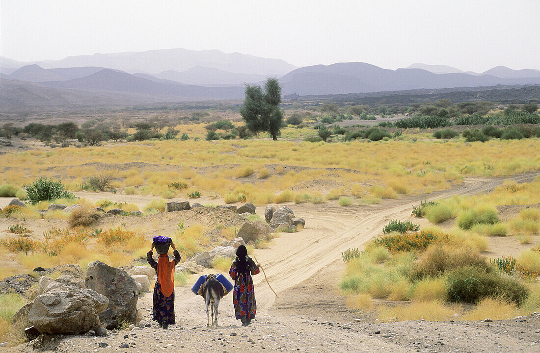 BEDOUIN WOMEN,  MARIB,  YEMEN