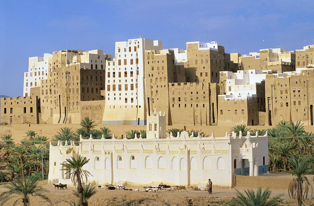 SHIBAM,  HADRAMAWT,  YEMEN