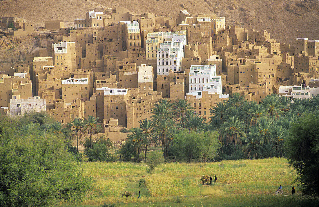 RIHAB VILLAGE,  WADI DO´AN,  HADRAMAWT,  YEMEN