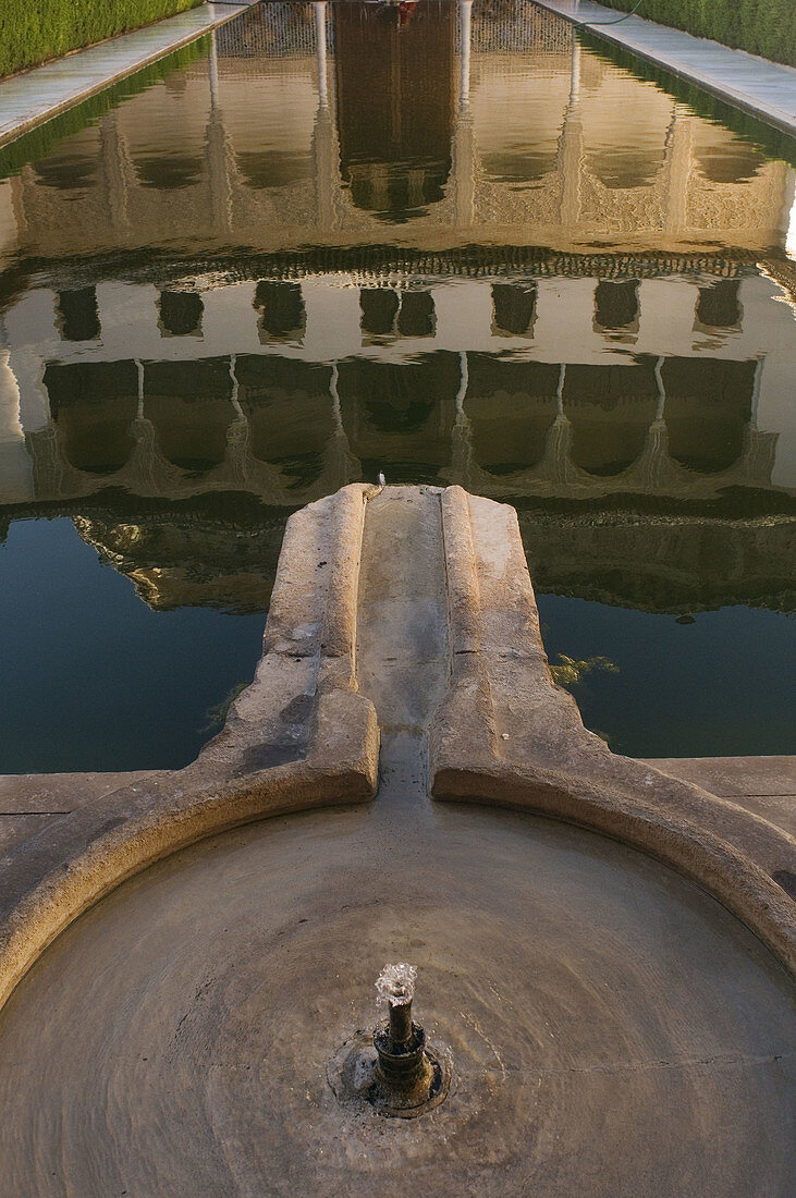 Also known as Patio de la Alberca is the central hall of the Palace of Comares...