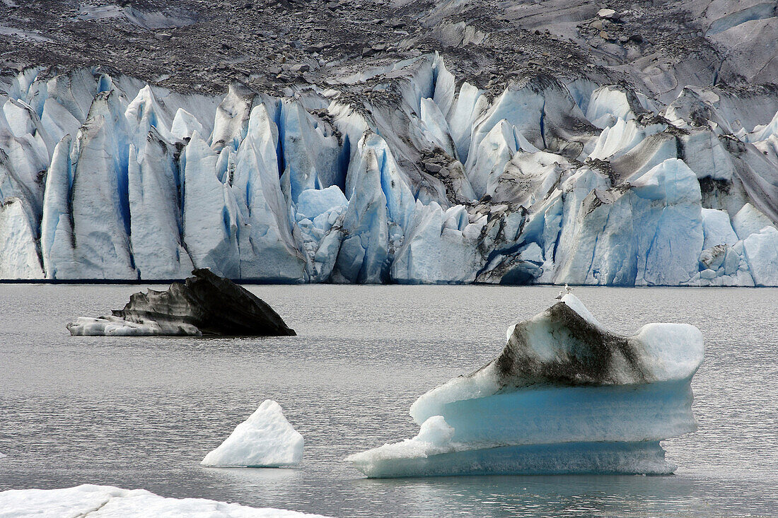 Mendenhall Gletscher / Mendenhall Glacier / Alaska,  USA
