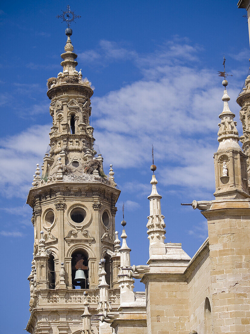 18th Century baroque tower of the Concatedral Santa Maria la Redonda - Logroño - La Rioja - Spain
