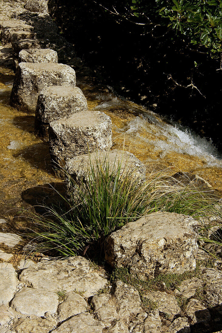 Stream,  ravine of Biniaraix,  Serra de Tramuntana. Majorca,  Balearic Islands,  Spain