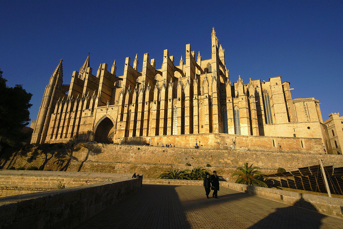 Gothic cathedral,  Palma de Mallorca. Majorca,  Balearic Islands,  Spain