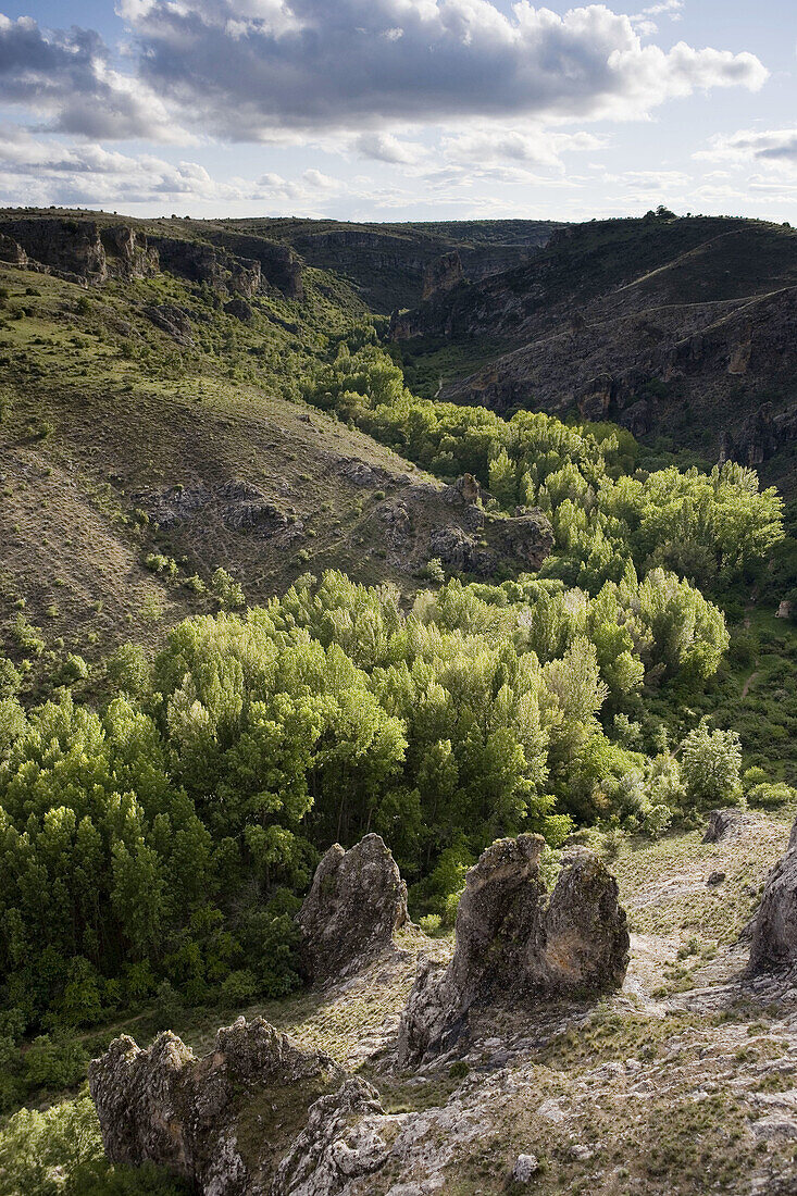 Parque Natural Barranco del Río Dulce Pelegrina,  provincia de Guadalajara,  Castilla la Mancha,  Spain