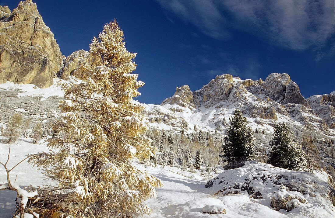 Tofane (3244 m),  Falzarego Pass (2117 m),  Dolomites,  Italy