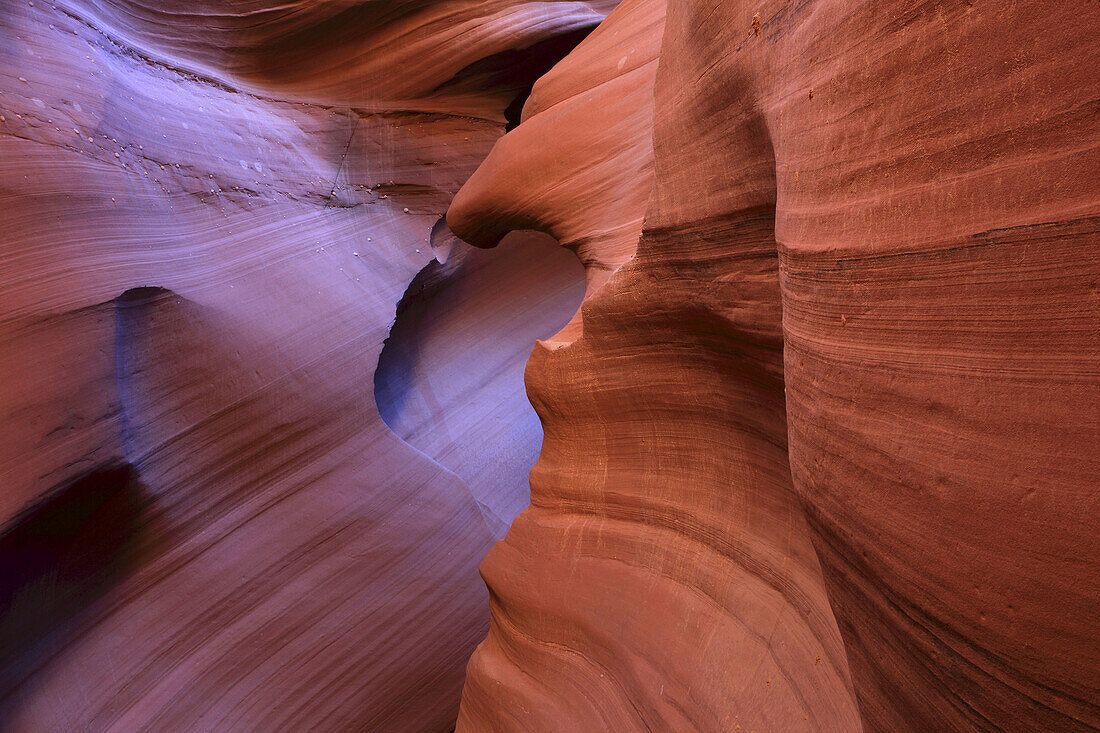 Antelope Canyon,  sandstone slot canyon formed by wind and water,  Lower Antelope Canyon,  Page,  Arizona,  USA