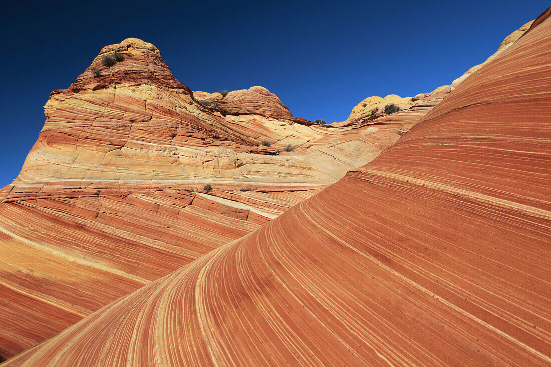 Coyote Buttes North,  The Wave,  sandstone formed by wind and water,  Paria Wilderness Area,  Arizona,  USA