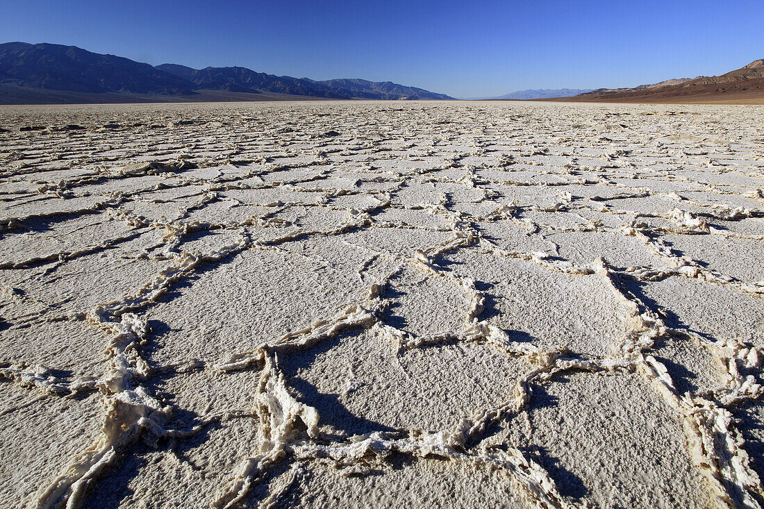 Badwater,  saltpan in desert,  saltformation,  Death Valley National Park,  California,  USA