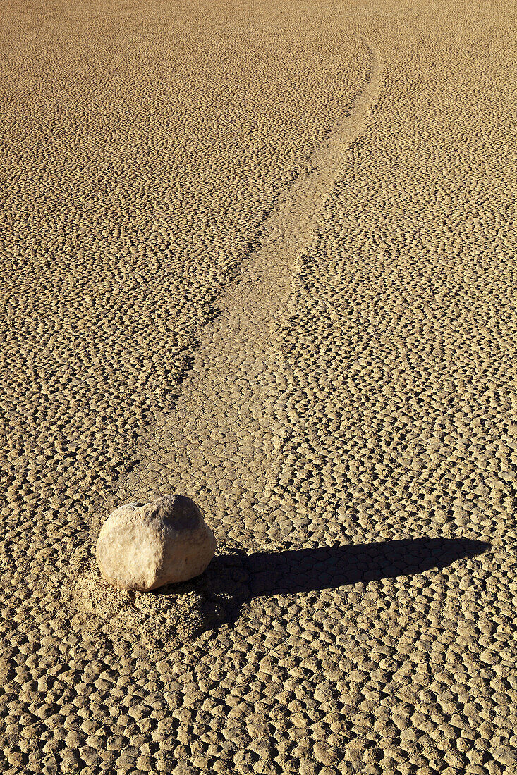 Rock,  Race Track,  desert area,  Death Valley National Park,  California,  USA