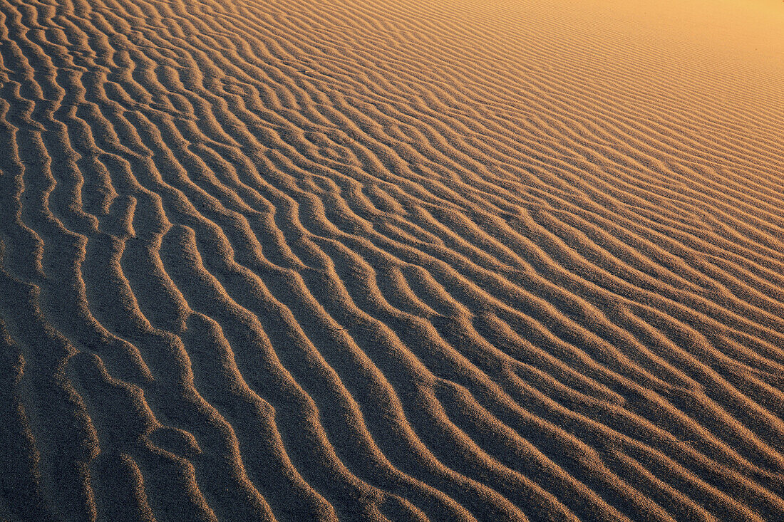 Mesquite Flats Sand Dunes,  sand dunes,  desert area,  Death Valley National Park,  California,  USA