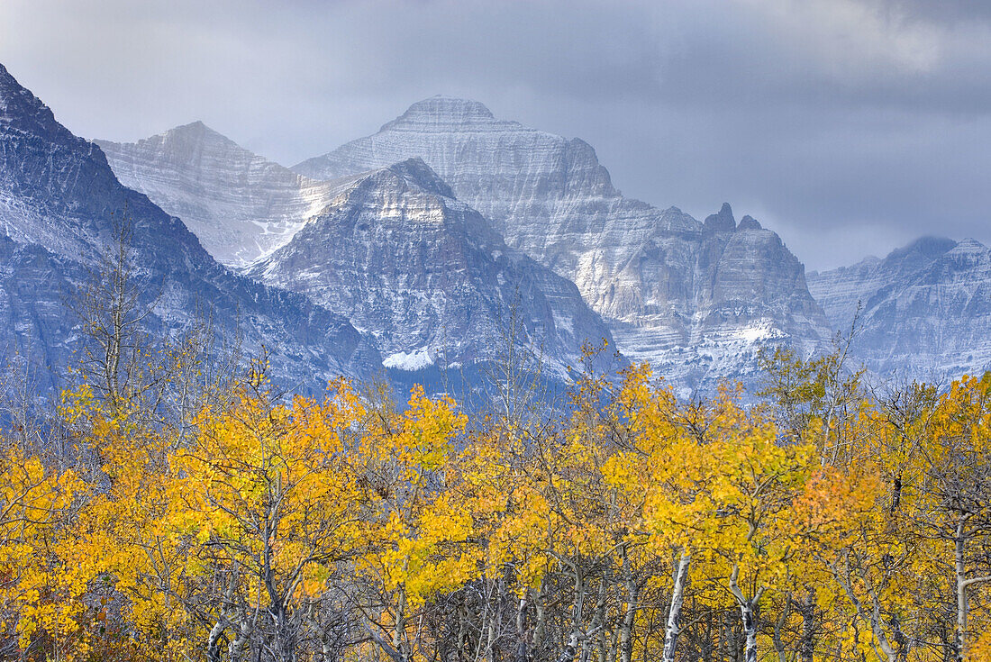 Autumn scene in Glacier National Park Montana near Saint Mary Lake