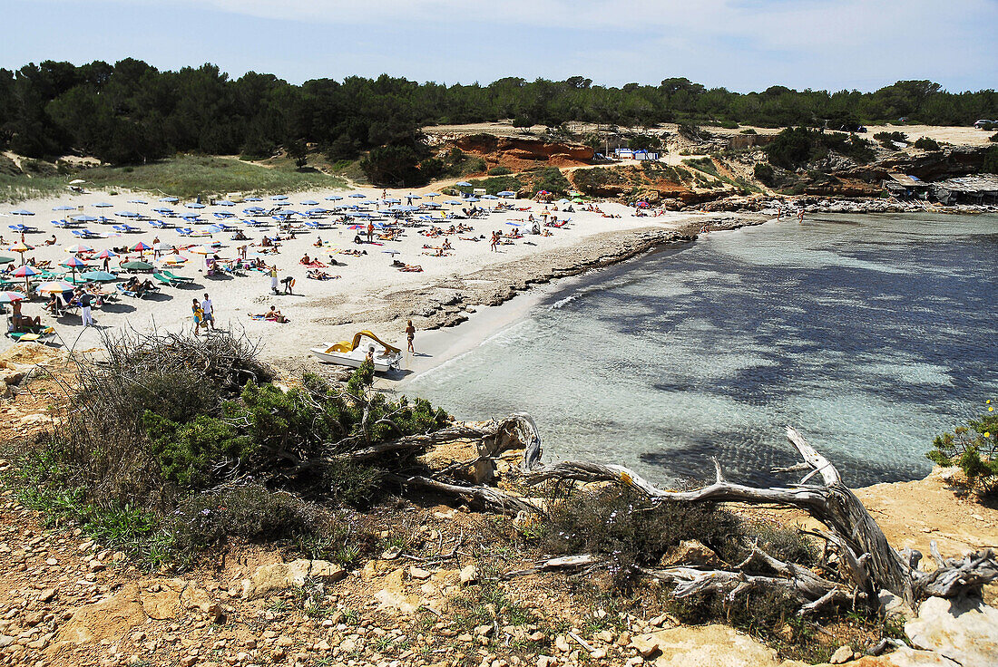 Cala Saona beach FORMENTERA Balearic Islands SPAIN *** Local Caption *** 00105924