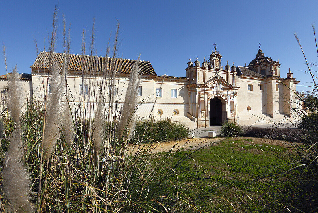 CAAC (Andalusian Centre of Contemporary Art),  former Santa Maria de Las Cuevas carthusian monastery,  Cartuja Island,  Sevilla. Andalucia,  Spain